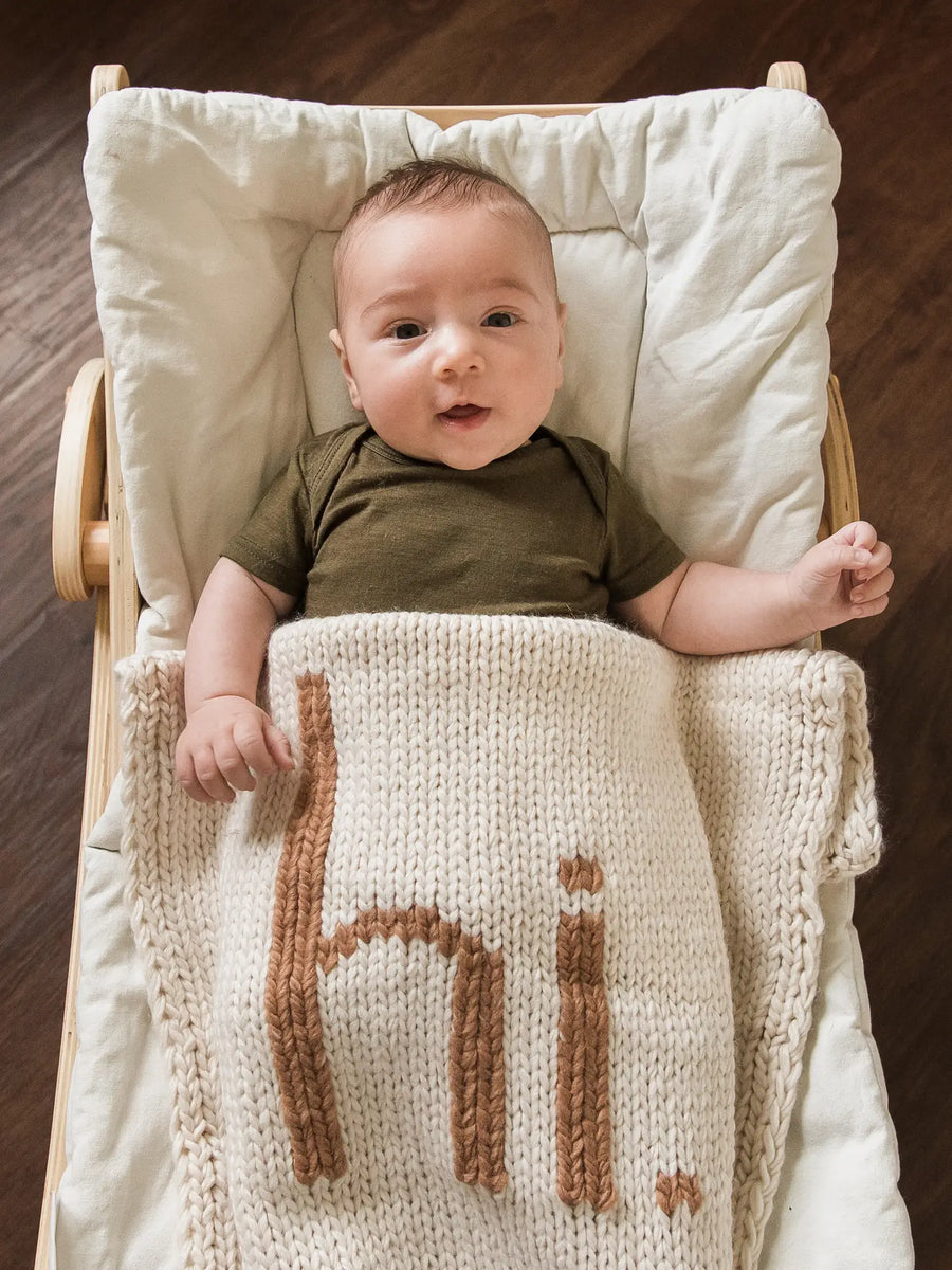 hi Hand knit blanket K2CBlooms