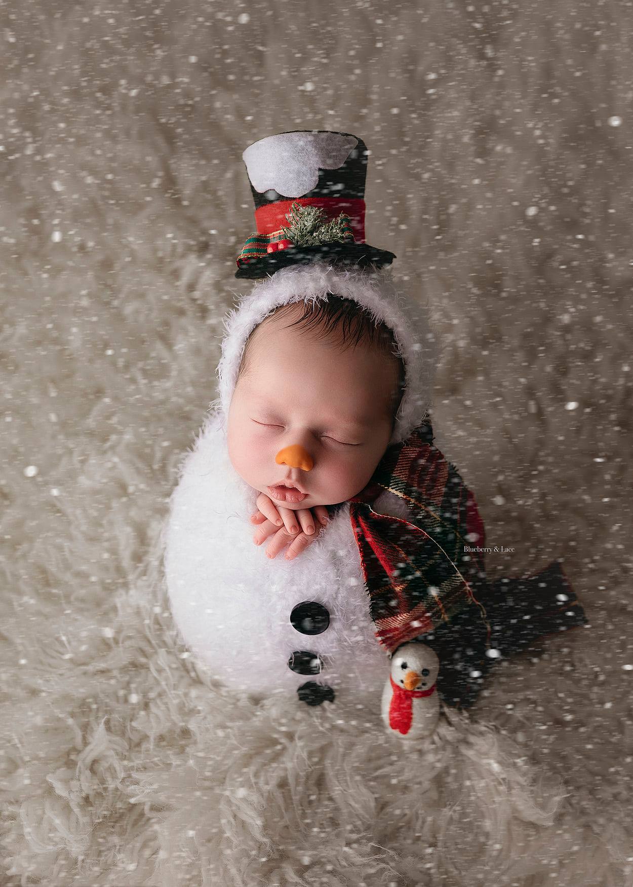 Christmas Lovies - K2CBlooms