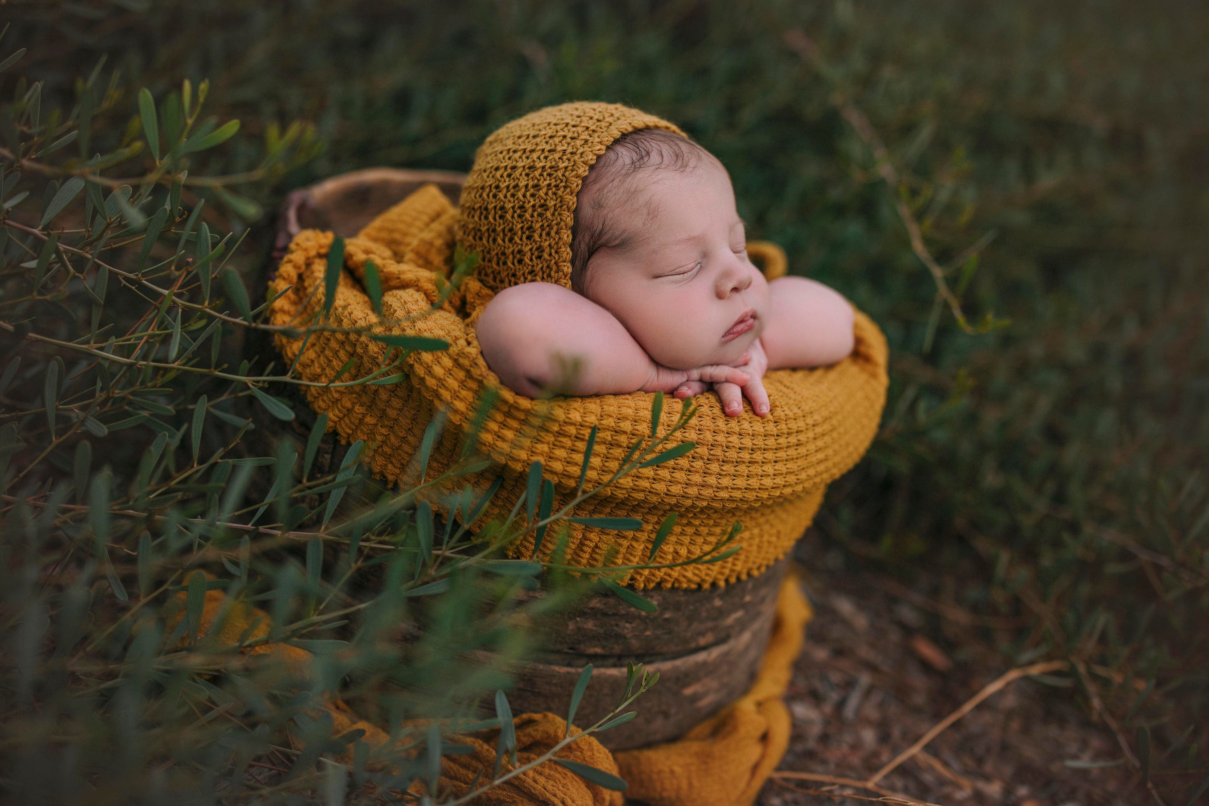 Sunflower Set